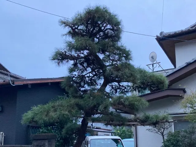 千葉県◆年中無休★家と庭2つ揃って家庭です。庭を綺麗にし素敵な家庭にしませんか？サービスの画像