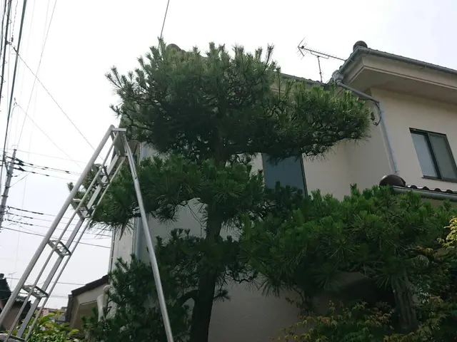 千葉県◆年中無休★家と庭2つ揃って家庭です。庭を綺麗にし素敵な家庭にしませんか？サービスの画像