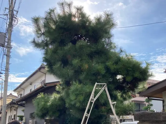 千葉県◆年中無休★家と庭2つ揃って家庭です。庭を綺麗にし素敵な家庭にしませんか？サービスの画像