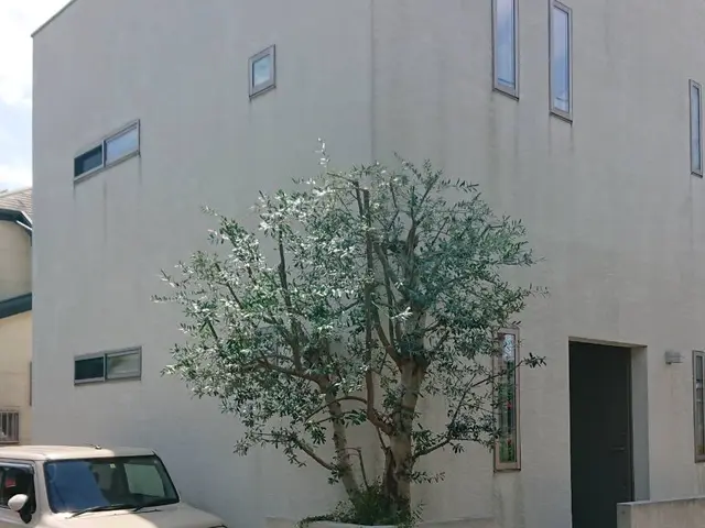 千葉県◆年中無休★家と庭2つ揃って家庭です。庭を綺麗にし素敵な家庭にしませんか？サービスの画像