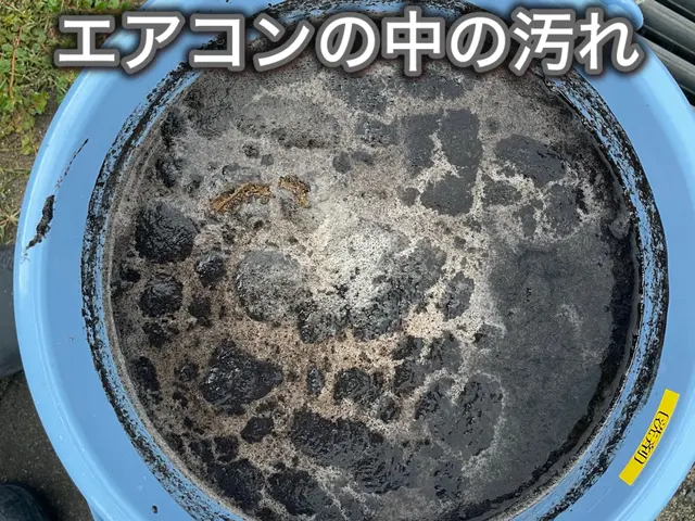 ★ゲリライベント開催中★9,900円→6,000円！2度とこない激安価格です！サービスの画像