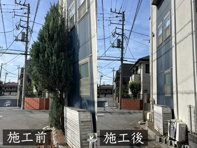 木のこと、伐採のこと、わからなくても構いません【伐採伐根専門店 en -燕-】サービスの画像