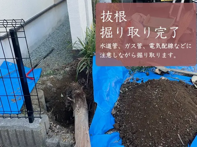 木のこと、伐採のこと、わからなくても構いません【伐採伐根専門店 en -燕-】サービスの画像