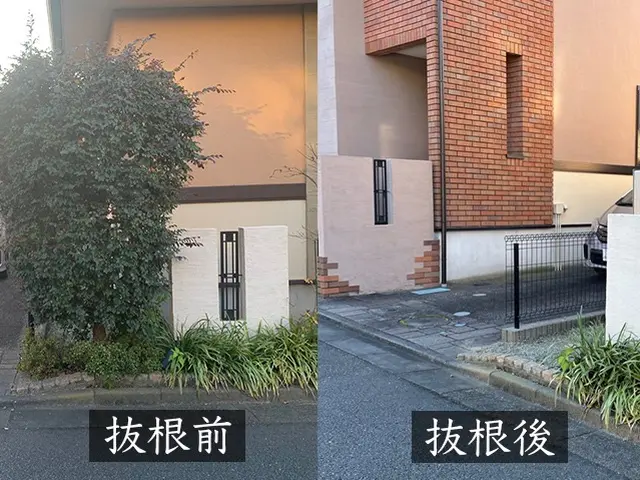 木のこと、伐採のこと、わからなくても構いません【伐採伐根専門店 en -燕-】サービスの画像