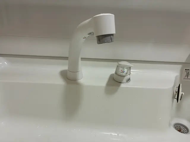 蛇口交換の専門店｜◎損害保険加入！お客様の水回りをサポートします！サービスの画像