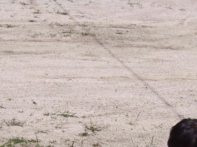 体力に自信あり！丁寧な作業をお約束します◎お気軽にご相談くださいサービスの画像