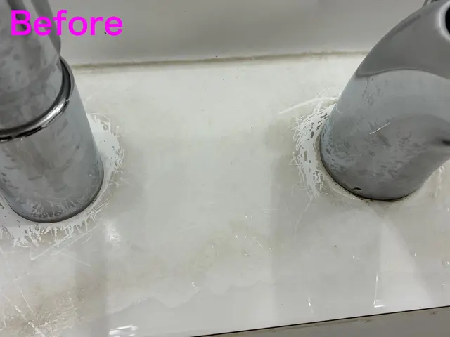 10月出店◎洗面所をピカピカに◎【清掃実績有】【堺発】サービスの画像