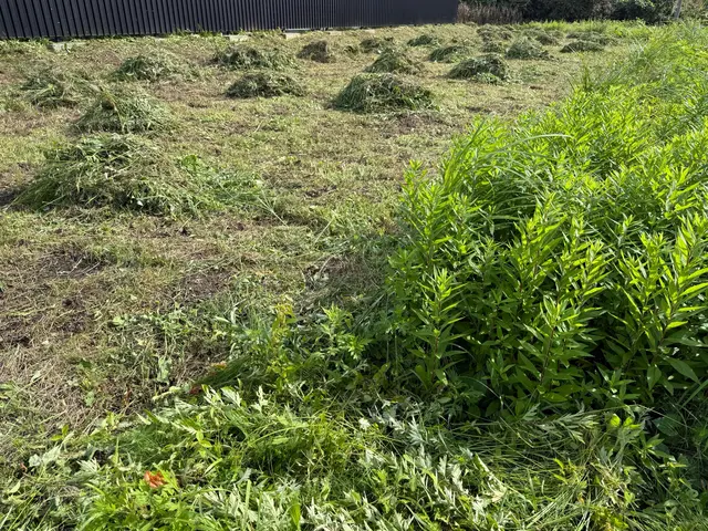 【空き家〜管理の行き届かない場所まで】大手経験者による丁寧な仕上がりで安心サービスの画像