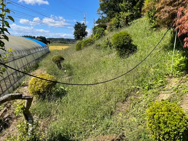 【空き家〜管理の行き届かない場所まで】大手経験者による丁寧な仕上がりで安心サービスの画像