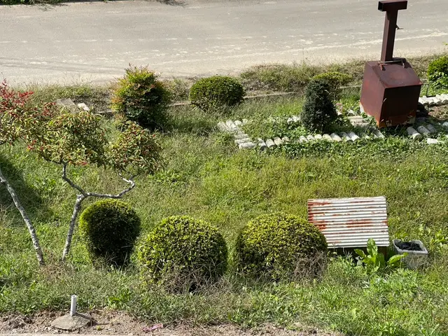 【空き家〜管理の行き届かない場所まで】大手経験者による丁寧な仕上がりで安心サービスの画像