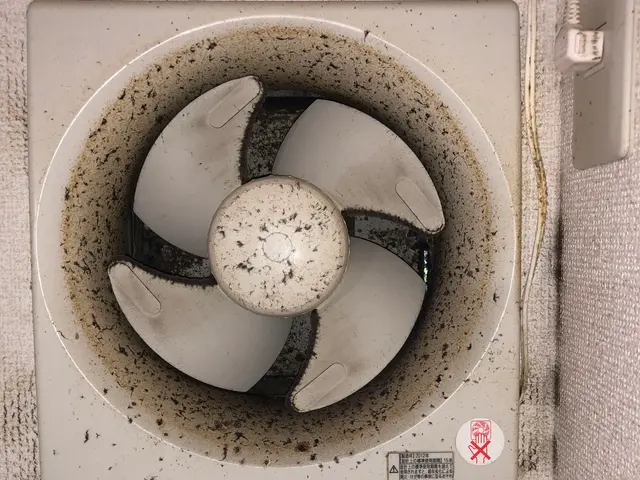 ★換気扇ギトギト汚れお任せ！★お子様・ペット・環境に優しい天然植物洗剤を使用！サービスの画像