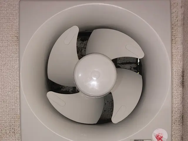 ★換気扇ギトギト汚れお任せ！★お子様・ペット・環境に優しい天然植物洗剤を使用！サービスの画像