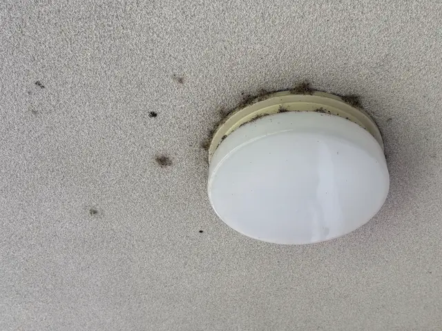 『蜘蛛の巣・蜘蛛』清掃ならお任せ下さい！サービスの画像