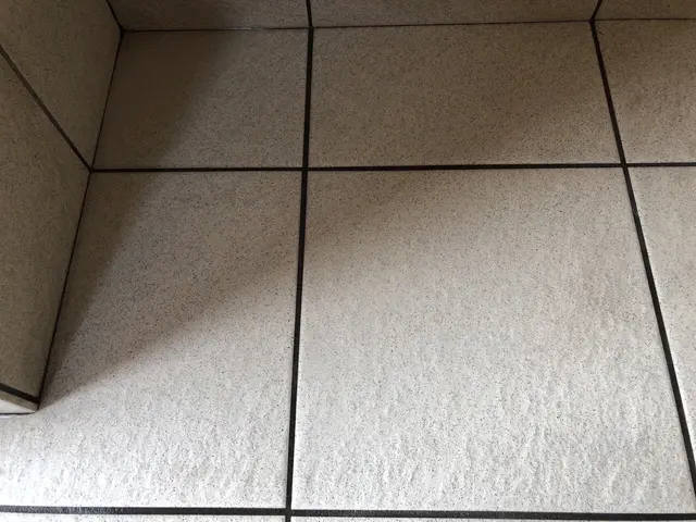 店舗や施設経験有り◎夜間・早朝対応可能！玄関は〃顔〃です！定期的なクリーニングをサービスの画像