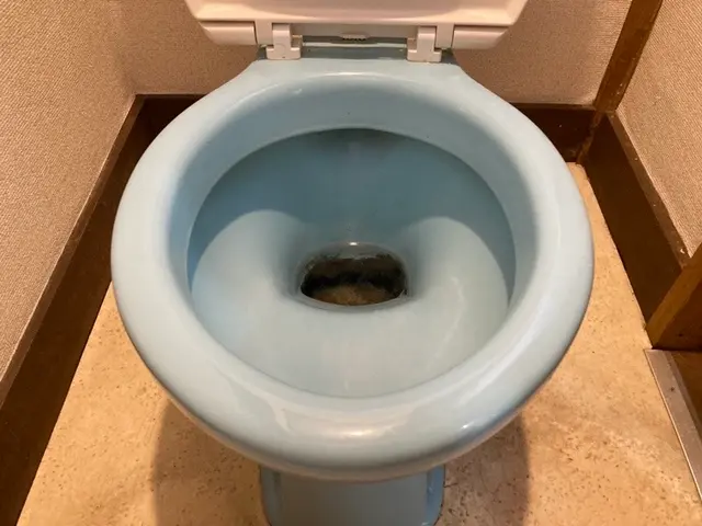 【子供/ペットの安全に特化】大手FC店◉2000件の実績◉自社開発洗剤で安心安全サービスの画像