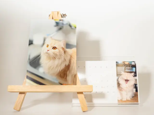 【元ペットショップ店員にお任せ】【10000円以上でクーポン使用可能◎】