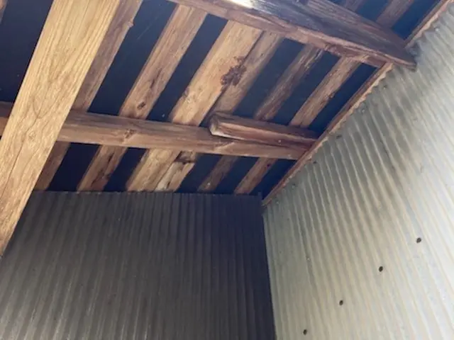 【害虫駆除/蜂の巣駆除ならハウスキーパーへお任せ下さい！】安心の駆除施工！サービスの画像