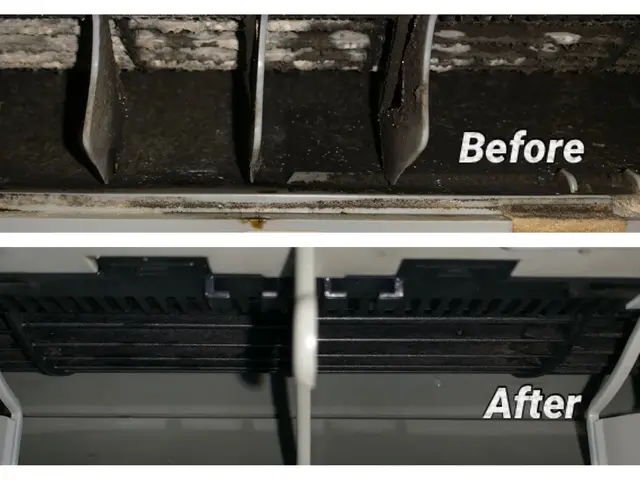 キャンペーン1台6,000円（スタンダード）抗菌コートサービス！サービスの画像