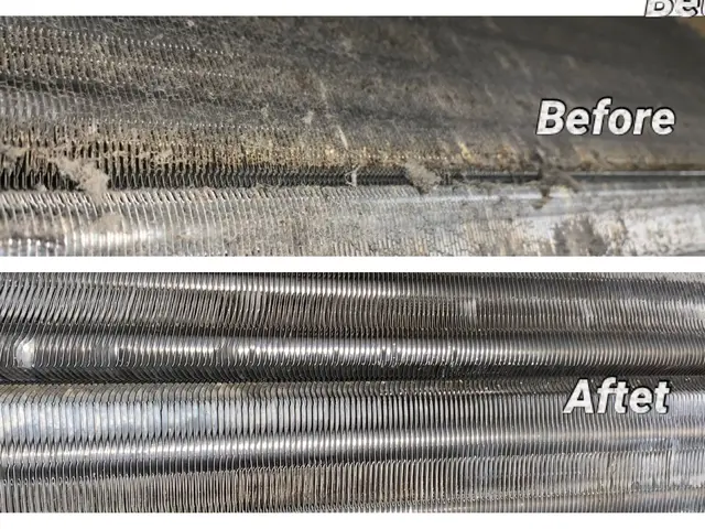 キャンペーン1台6,000円（スタンダード）抗菌コートサービス！サービスの画像