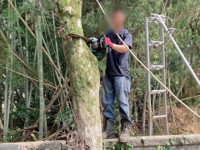 【損害保険加入済みで安心◎】営業時間外のご相談も受付可能です！サービスの画像