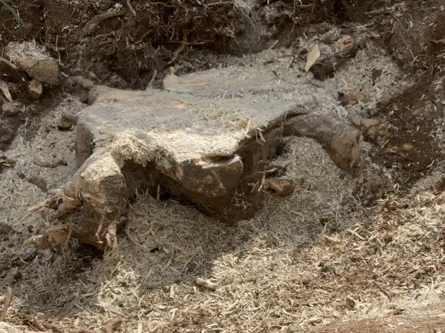 【損害保険加入済みで安心◎】営業時間外のご相談も受付可能です！サービスの画像