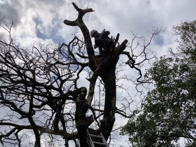 【損害保険加入済みで安心◎】営業時間外のご相談も受付可能です！サービスの画像