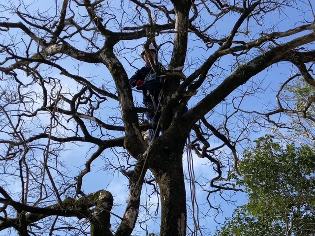 【損害保険加入済みで安心◎】営業時間外のご相談も受付可能です！サービスの画像