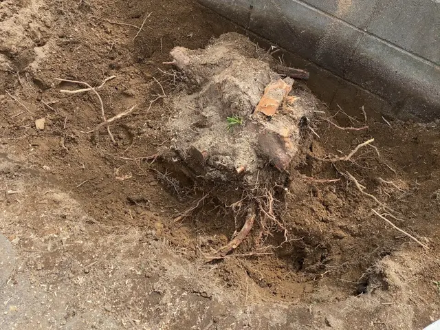 【損害保険加入済みで安心◎】営業時間外のご相談も受付可能です！サービスの画像