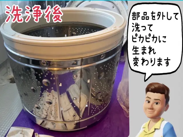 ★一目瞭然★プロフェッショナルな細かな技術！ビートウォッシュ10㎏以上もO.K★サービスの画像