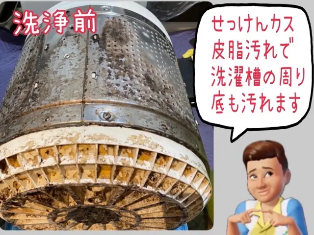 ★一目瞭然★プロフェッショナルな細かな技術！ビートウォッシュ10㎏以上もO.K★サービスの画像