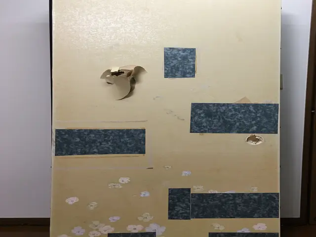 八王子の表具店　新規作成いたします　破れ穴補修　木枠の取り替え　引手交換サービスの画像