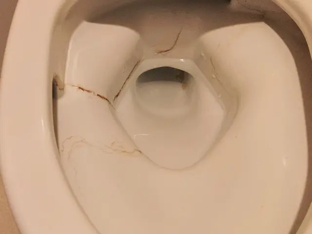 ただいま新年お掃除キャンペーン中です！！是非お得な時にご利用くださいサービスの画像