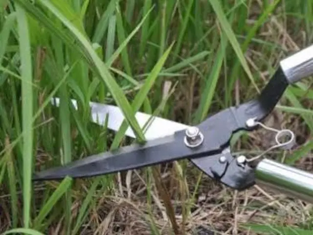 各種クレジットカードご利用可能です。防草シート、除草剤もお任せくださいサービスの画像