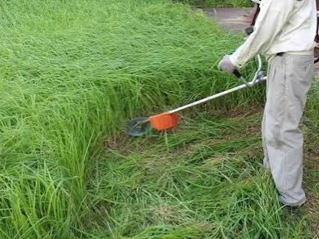 各種クレジットカードご利用可能です。防草シート、除草剤もお任せくださいサービスの画像