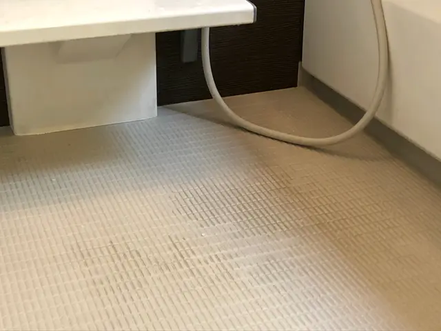 コロナウィルス対策徹底☆水垢、石鹸カス徹底除去いたしますサービスの画像