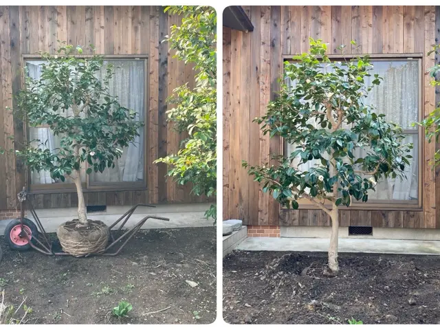 【実績20年以上丁寧な施工】家業の植木屋に勤めていた為植木の事はお任せ下さい！サービスの画像