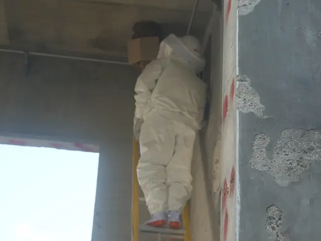 【注目( • ̀ω•́ )っ】国家資格保有プロが行う根本的「蜂の巣駆除」サービスの画像