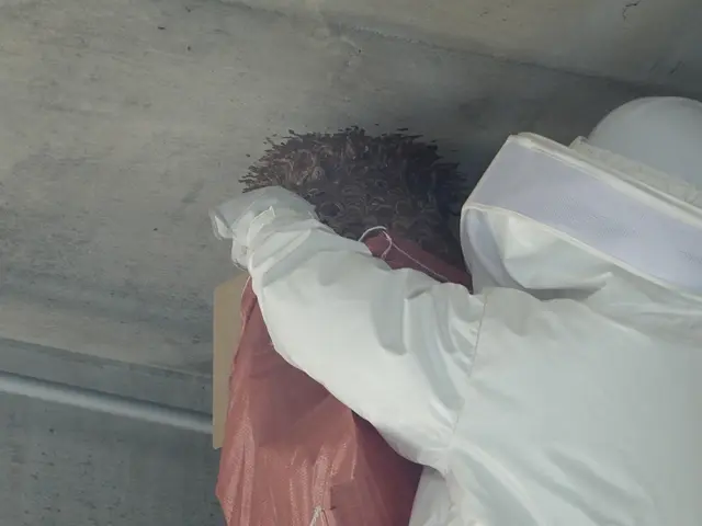 【注目( • ̀ω•́ )っ】国家資格保有プロが行う根本的「蜂の巣駆除」サービスの画像