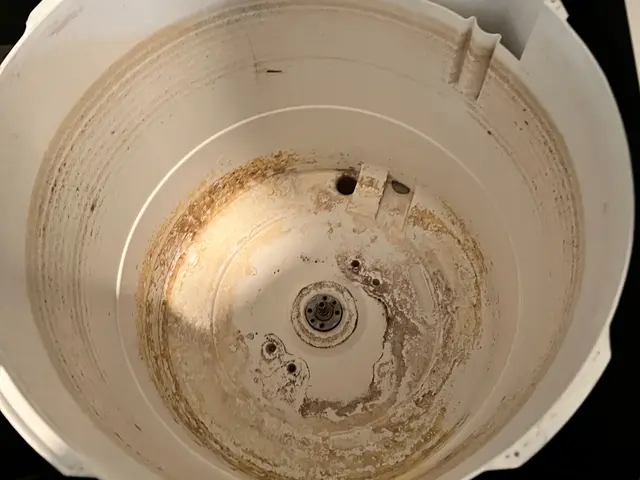 洗濯機・洗濯槽クリーニング　乾燥機付きは対応してません。サービスの画像