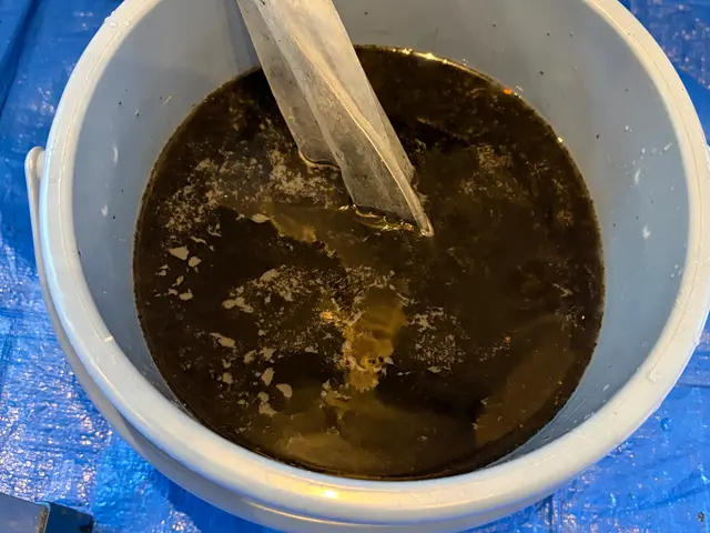 1月新規出店限定特価！室外機洗浄・抗菌コート込みで9,000円　3月6日まで受付サービスの画像