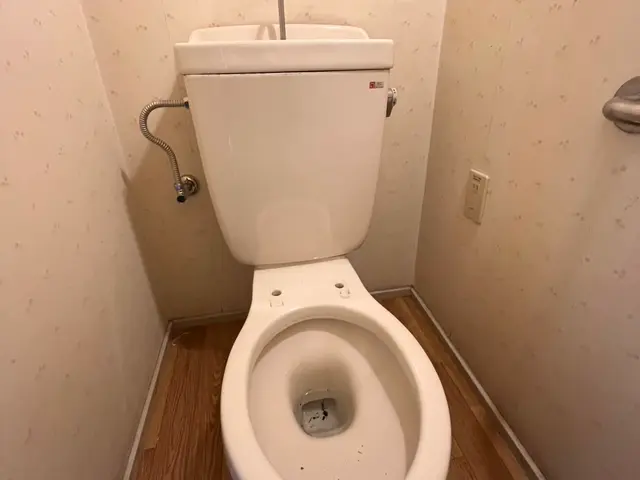 トイレクリーニング｜ピカピカライフ【尿石撃退】サービスの画像