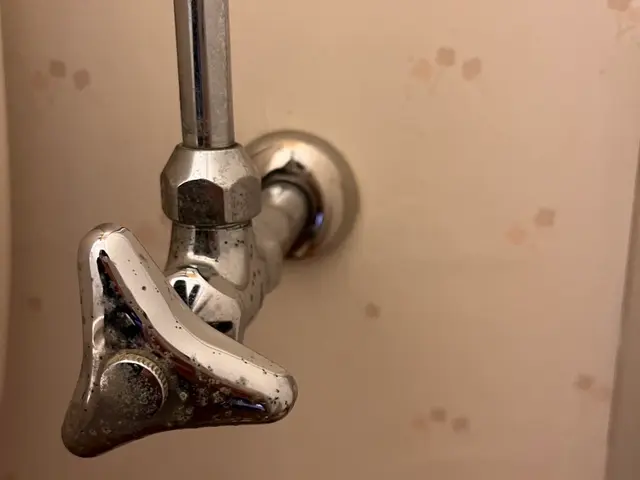 トイレクリーニング｜ピカピカライフ【尿石撃退】サービスの画像