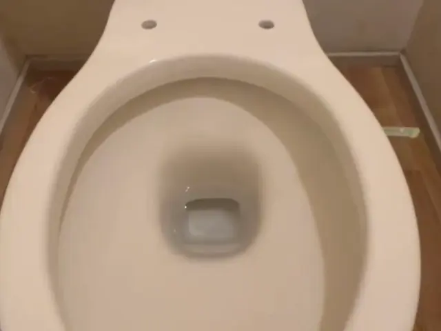 トイレクリーニング｜ピカピカライフ【尿石撃退】サービスの画像