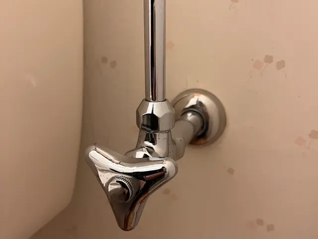 トイレクリーニング｜ピカピカライフ【尿石撃退】サービスの画像