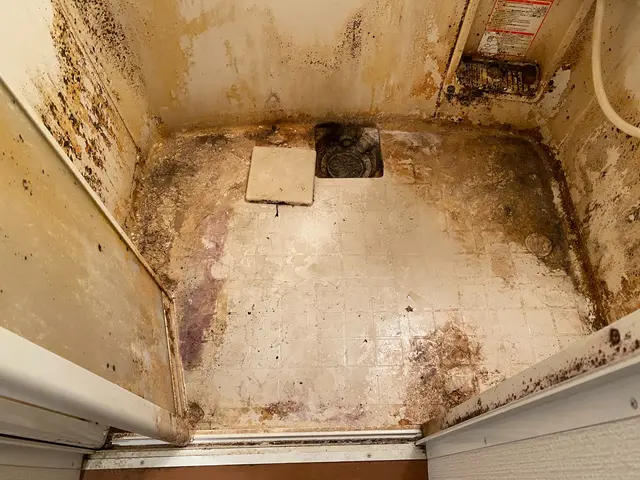 プロの技術でご満足いただけるように心を込めて作業いたしますサービスの画像