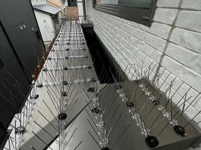 カラス追い出し及び侵入防止施工サービスの画像