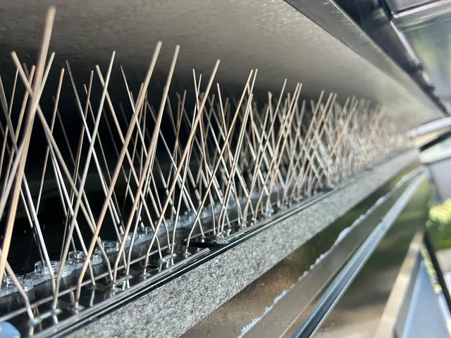 カラス追い出し及び侵入防止施工サービスの画像