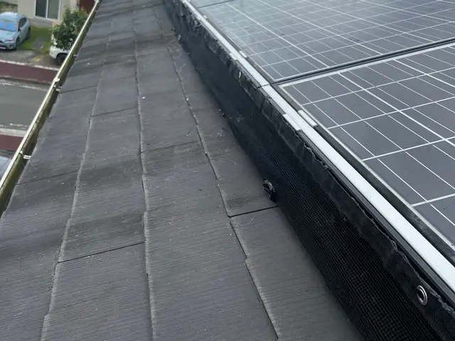 カラス追い出し及び侵入防止施工サービスの画像