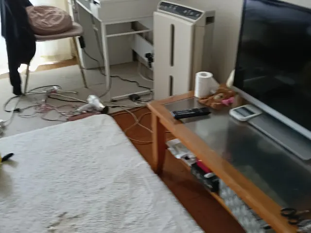 年中無休お悩み解決！家政婦13年ハウスクリーニング経営有り☆片付けSOS賜り中サービスの画像