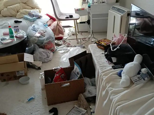 年中無休お悩み解決！家政婦13年ハウスクリーニング経営有り☆片付けSOS賜り中サービスの画像